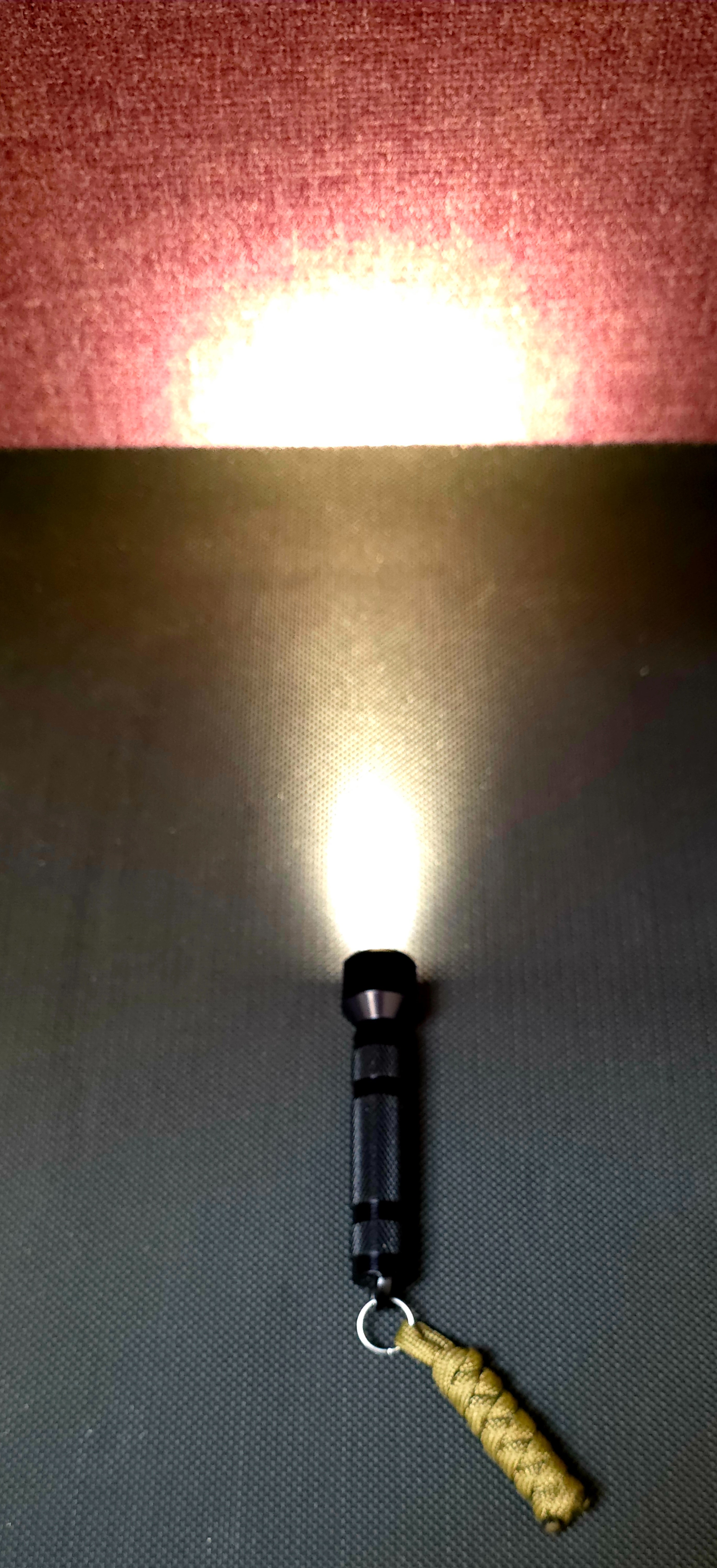 20260429_092149.jpg
