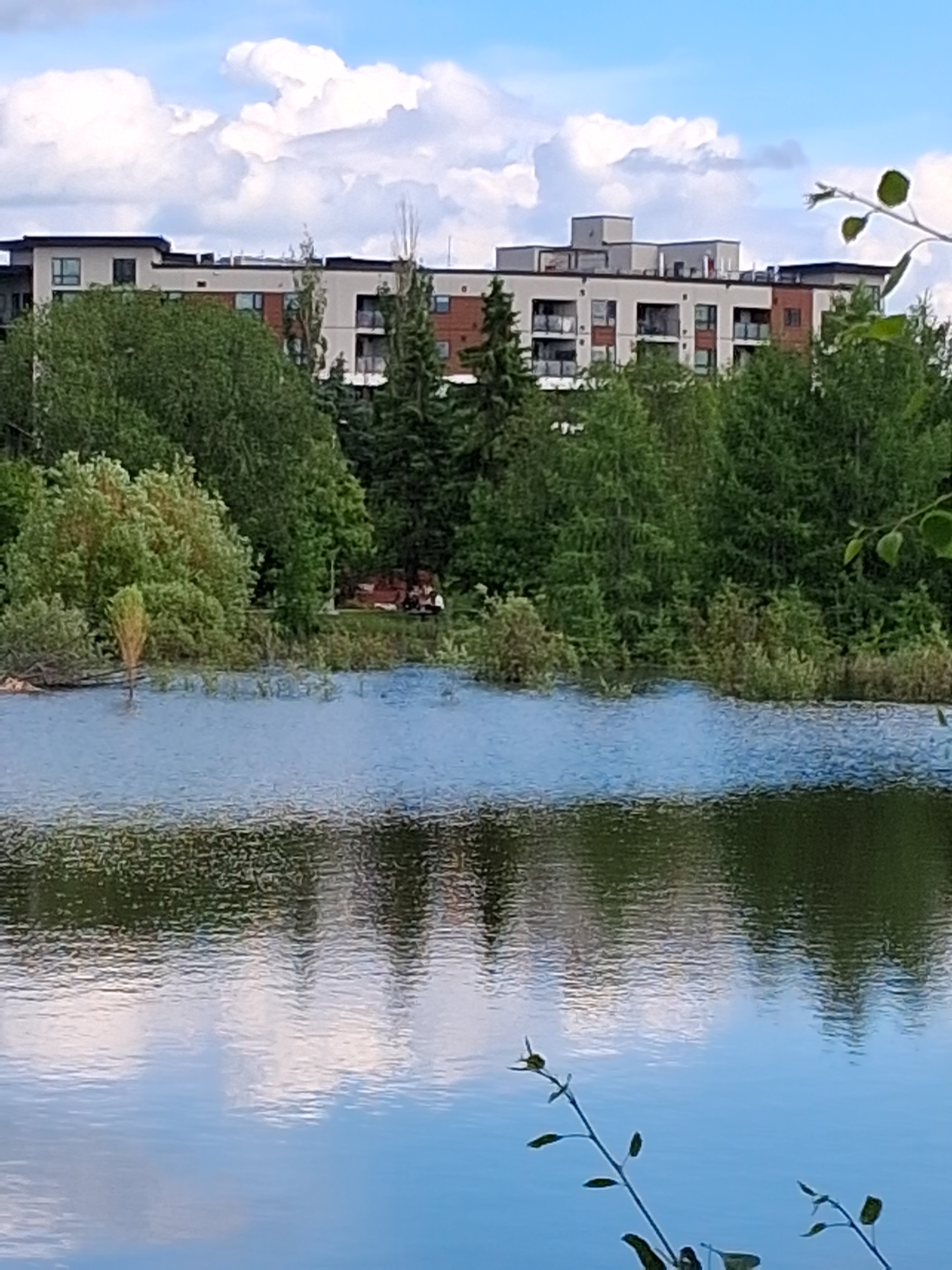 20260622_170622.jpg
