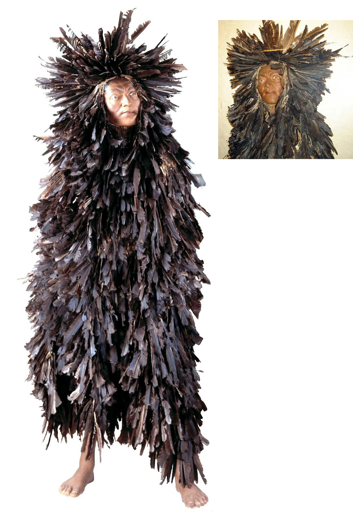 California raven suit.png
