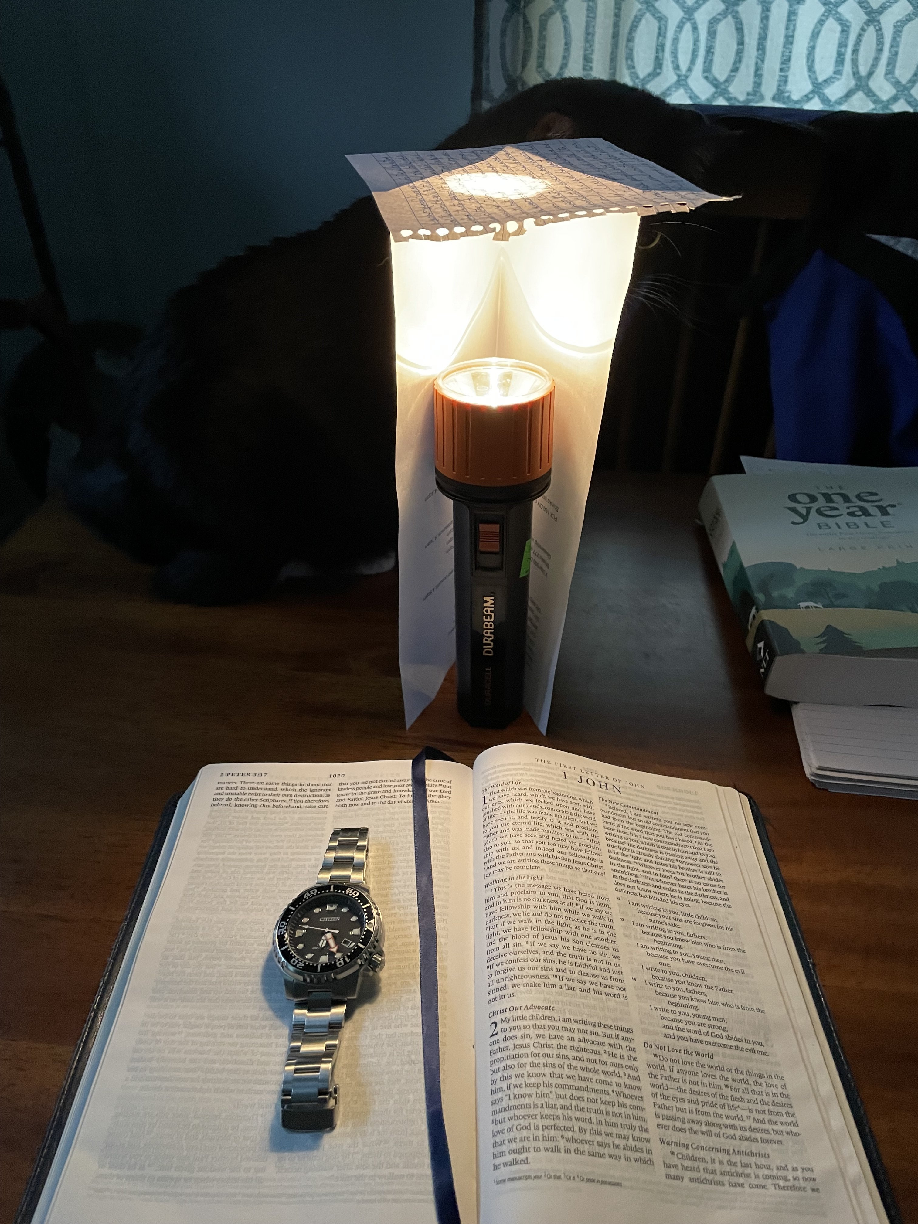 IMG_6192.jpeg