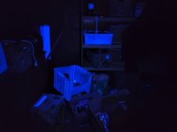 20230130_222509.jpeg