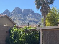 IMG_7453.jpeg