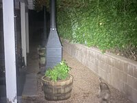 IMG_7612.jpeg
