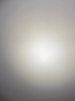 IMG_7613.jpeg