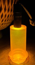 IMG_2957.jpeg