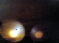 IMG_20231230_130502842.jpg