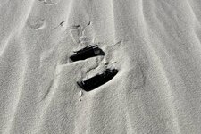 IMG_6122.jpeg
