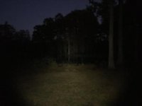 58F8F688-DEEB-4142-9127-59501E9A6FF1.jpg