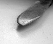 IMG_0565.JPG