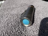 IMG_2955.jpeg