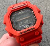 IMG_3266.jpeg