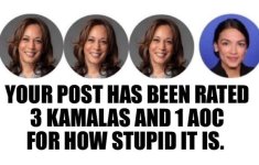 Stupid.jpg