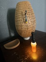 IMG_4250.jpeg