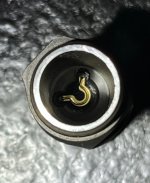 IMG_4290.jpeg