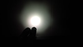 1000011725.jpg