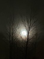 moon.jpeg