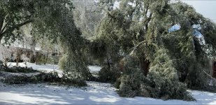 Ice Storm.jpg