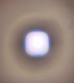 IMG_8355.jpg