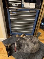 IMG_2109.jpeg
