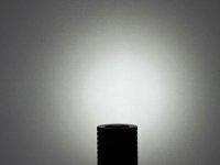 IMG_4229.jpeg
