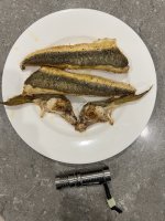 IMG_2460.jpeg