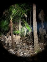 IMG_2462.jpeg