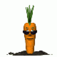 carrot