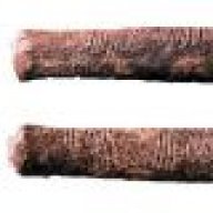Ishango