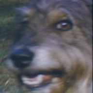KITROBASKIN