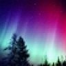 thenorthlight