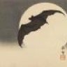 miyagi