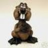 bucky beaver