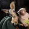 59ride
