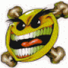 CamoNinja