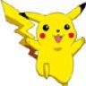 pokkuhlag