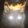 burntoshine
