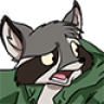 Raccoon