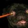 overdog