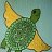 Flying Turtle