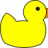 duckied