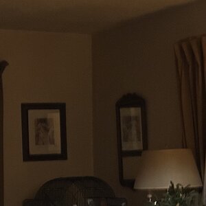 IMG_2270.jpeg