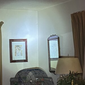 IMG_2269.jpeg