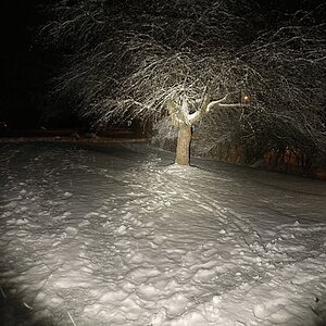 IMG_0195.jpeg