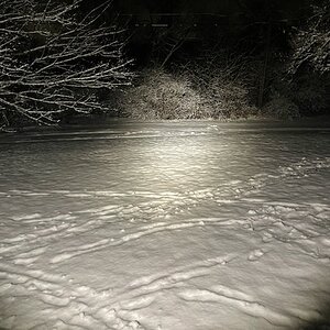 IMG_0197.jpeg