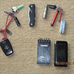 pocket_carry.jpg