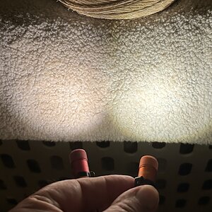 IMG_5671.jpeg
