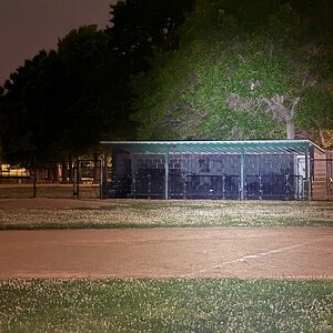 IMG_1081.jpeg