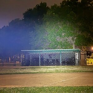 IMG_1084.jpeg