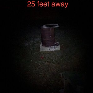 IMG_9350.jpeg