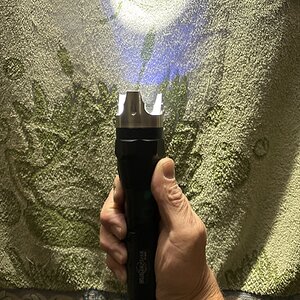 IMG_6034.jpeg